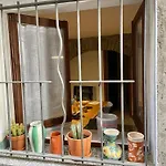 Casa Curie 17 In Borgo Storico * モルトラージオ